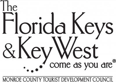 TDC Incountylogo