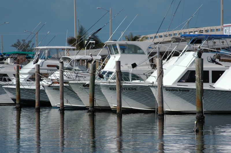 Commercial fishing boats docked at Bight. Photo by Michael Welber