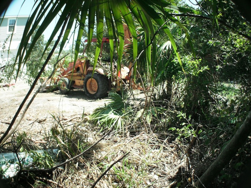 Senmartin's backyard with backhoe   Photo by Harry DeLashmutt