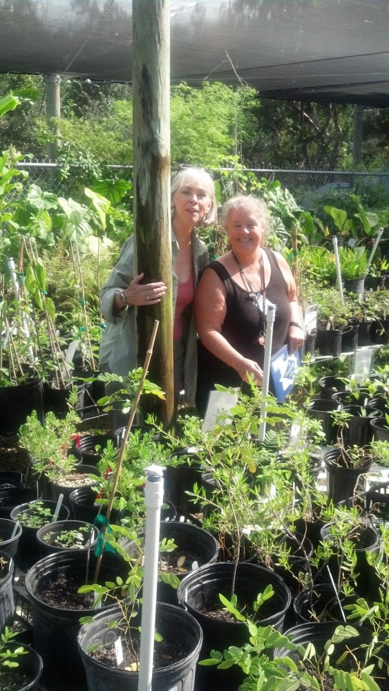 Lucy Carleton lends her support to the Botanical Garden by learning the importance of native before purchasing under the direction of Susie Reutling, Nursery Team Leader at the Native Plant Sale.